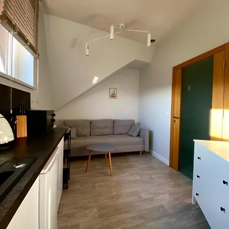 Apartament & Spa Rosa Istebna Exteriér fotografie